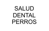 Salud dental